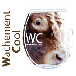 Stickers WC - Wachement Cool