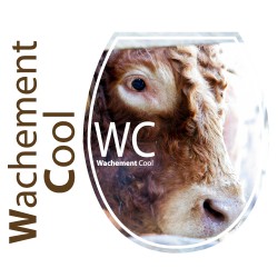 Sticker WC Vache 35x42 Cm - Autocollant Décoratif Pour Abattant Toilettes - Déco Drôle Et Originale Pour Salle De Bain