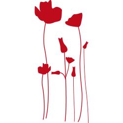 Sticker fleurs - sticker coquelicots