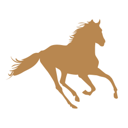 Sticker cheval