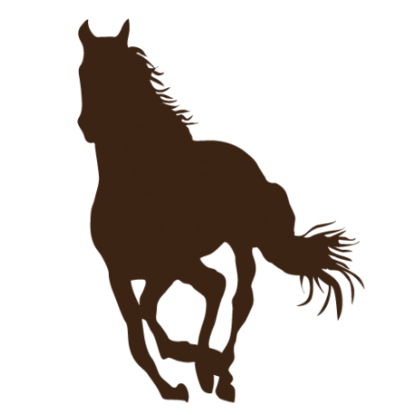 Sticker de cheval