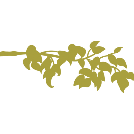 Sticker branche et feuilles - 1