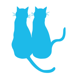 Sticker chat - Couple de chats