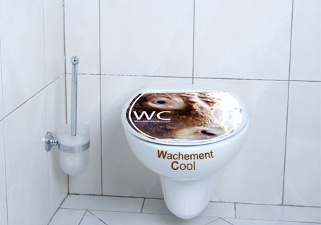 Sticker toilettes humour et droile brise glace - Stickers muraux WC